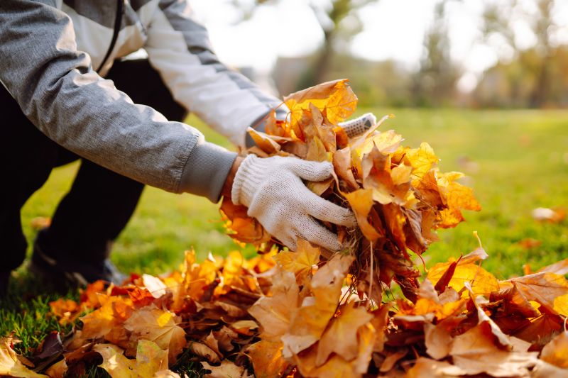 Autumn Leaf Piles