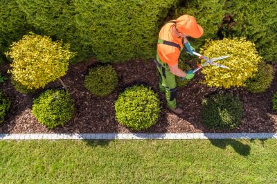 Get Gardening Services